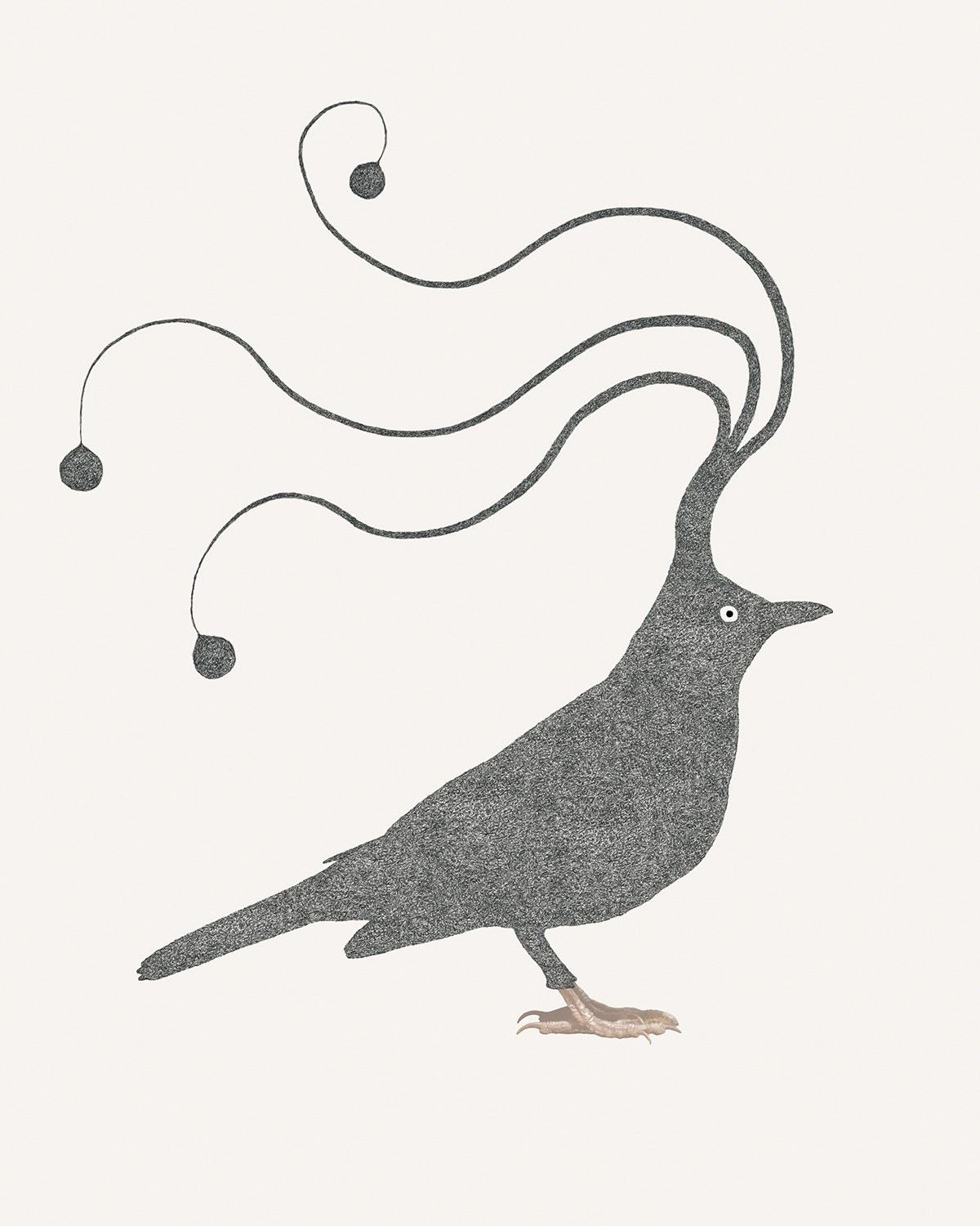 sleepybird_blackbird